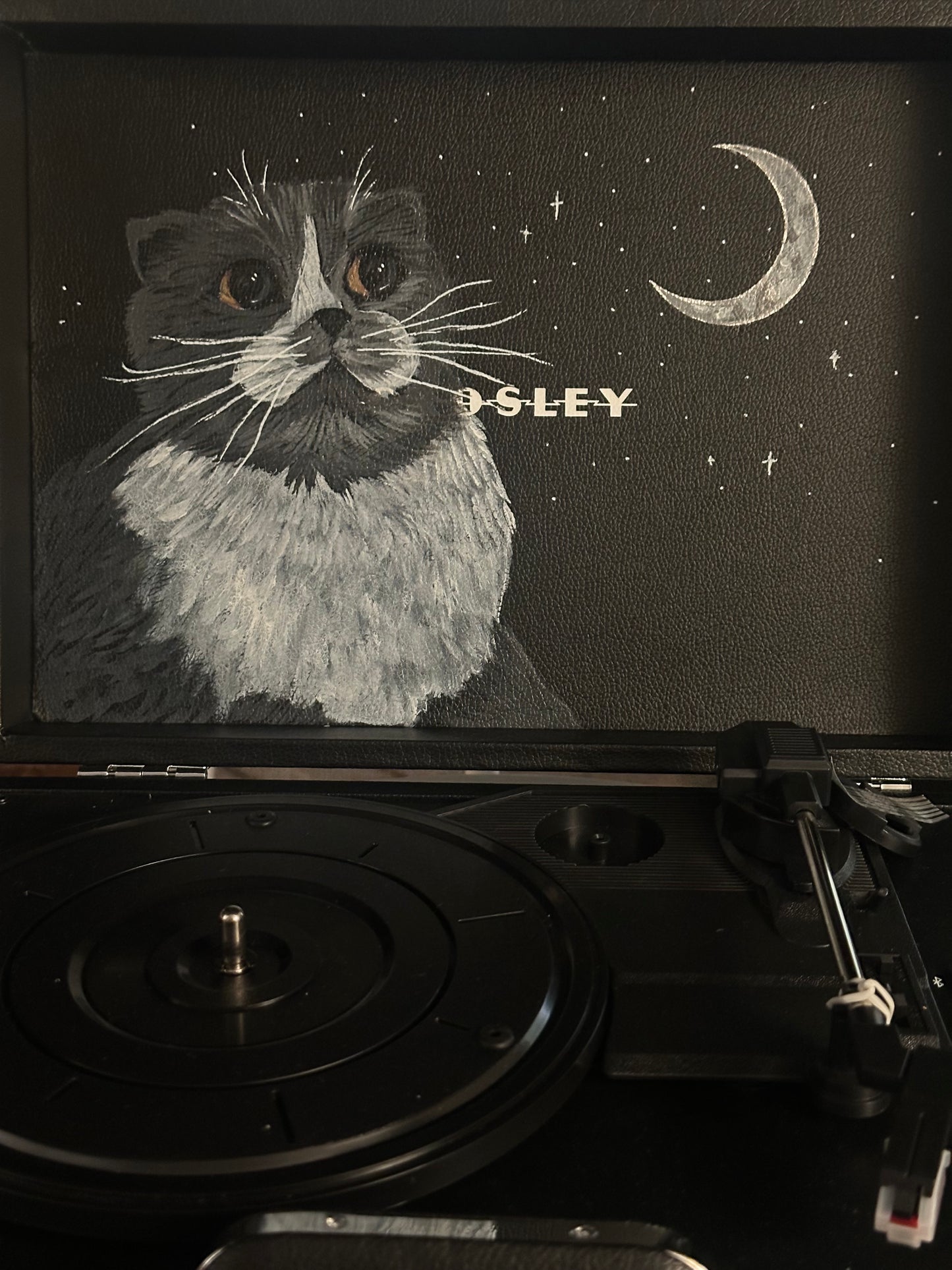 cat + space crosley